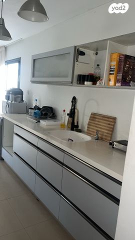 אבא ברדיצ'ב 3