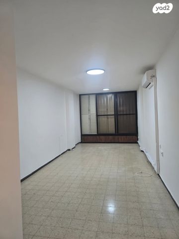 דבורה בארון 4