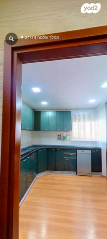 שלמה המלך 24