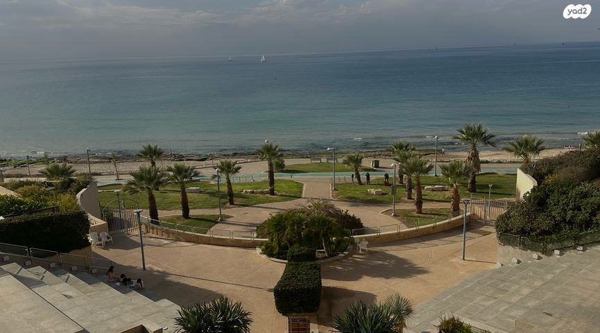 הרצל רוזנבלום 