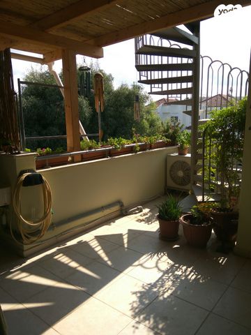 דירה, צור משה