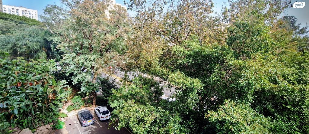 נווה אביבים