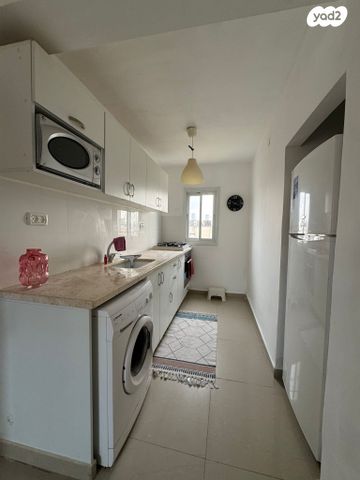 אלעזר בן יאיר 