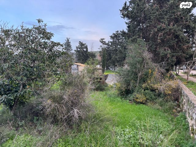 משק חקלאי/ נחלה