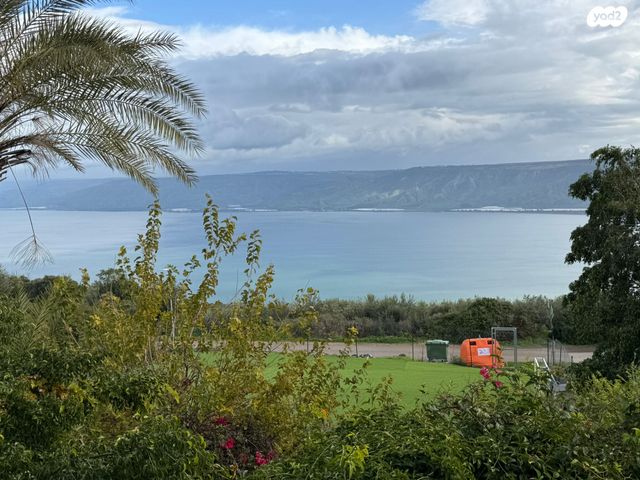 פוריה עילית