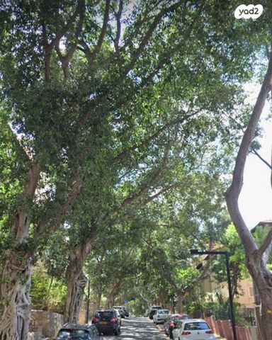 ישראל טייבר 