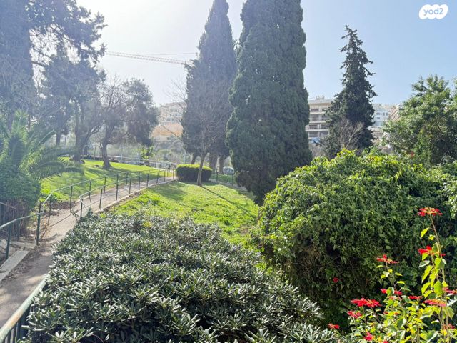 משה גוט לוין 