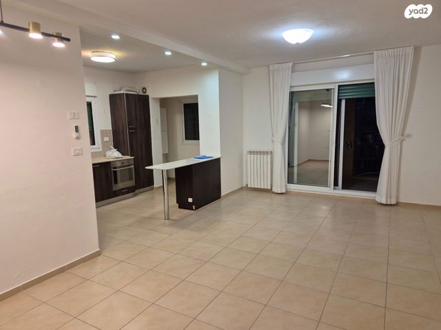 אליהו לנקין 