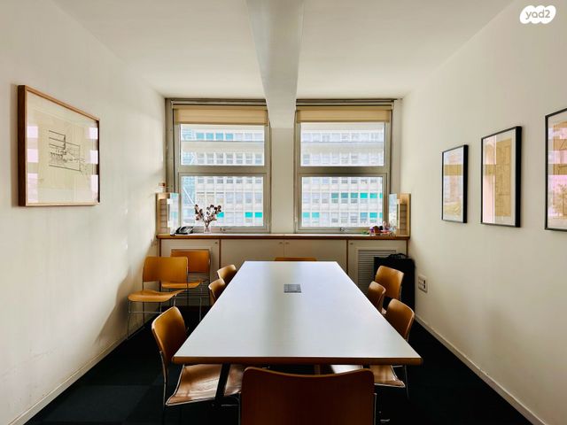 ליאונרדו דה וינצ'י 