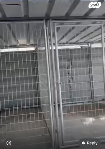 תמונת מודעה - חיות מחמד