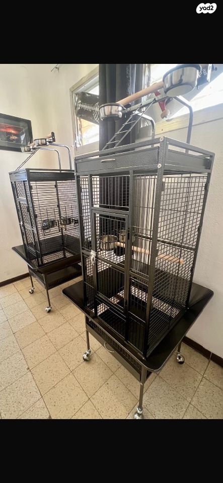 תמונת מודעה - חיות מחמד