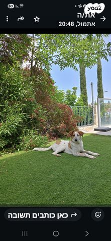 תמונת מודעה - חיות מחמד