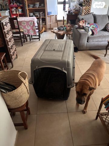 תמונת מודעה - חיות מחמד