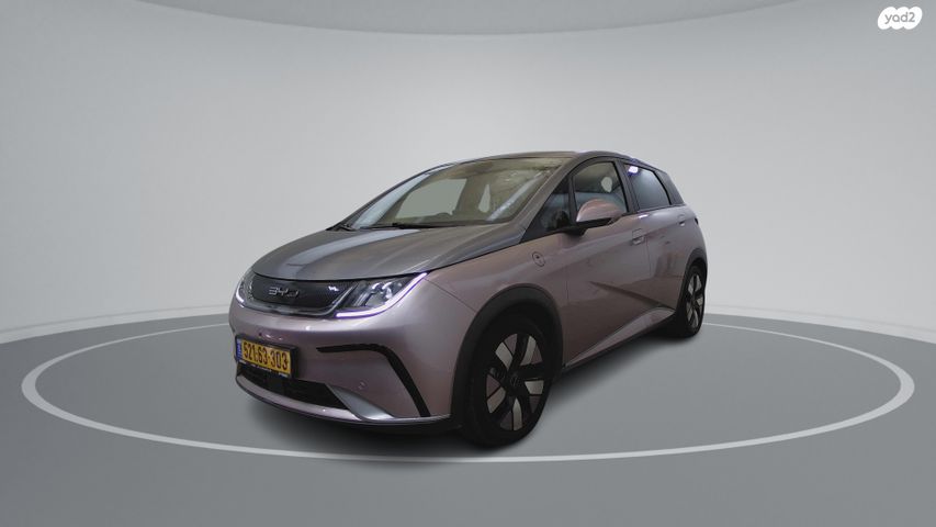 מודעת רכב בי.ווי.די דולפין