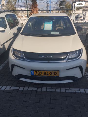 מודעת רכב בי.ווי.די דולפין