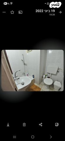 איילת השחר 23