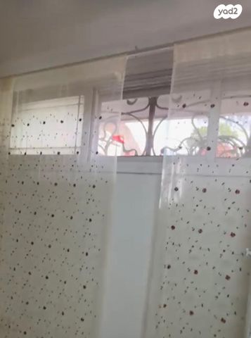 מנחם סבידור 63