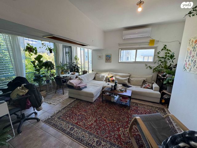 יונתן הופסי 7