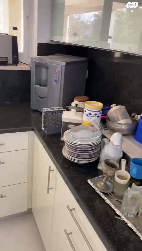 לוי אשכול 31