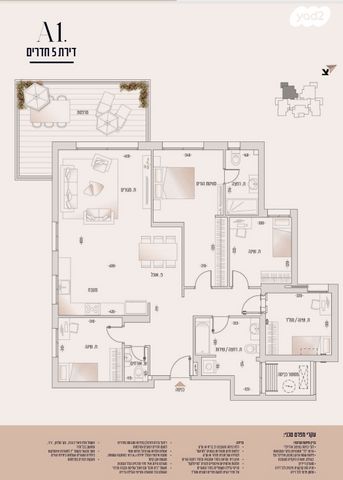 ארזי הלבנון 20