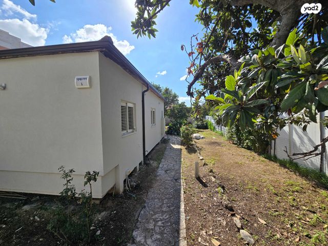 עמיאל רוז'נסקי 1