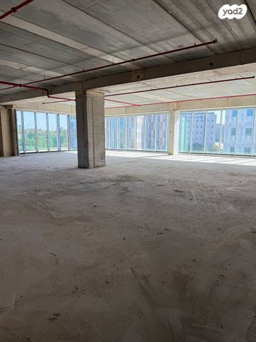 אלי הורוביץ 12