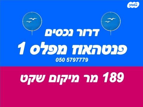 אליעזר בן יהודה 