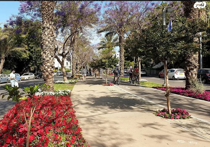 דירה, הצפון הישן - צפון, תל אביב יפו