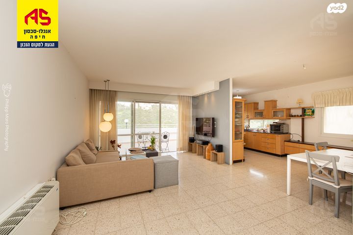 ראול ולנברג 