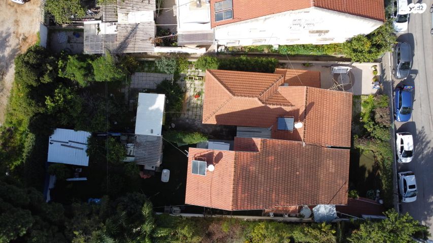 עובד בן ציון