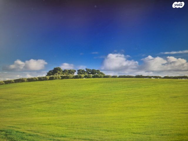 מגרשים, זכרון יעקב