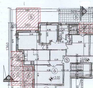 הרב אריה גולדקנופף 