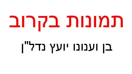 הנחשול 