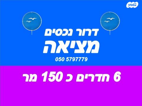 חיים כהן 10