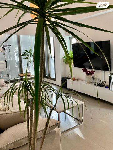 לב תל אביב, לב העיר צפון