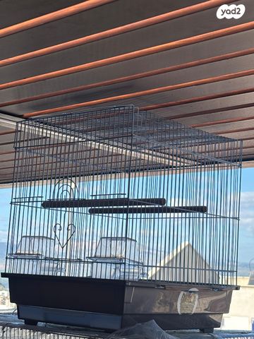 תמונת מודעה - חיות מחמד