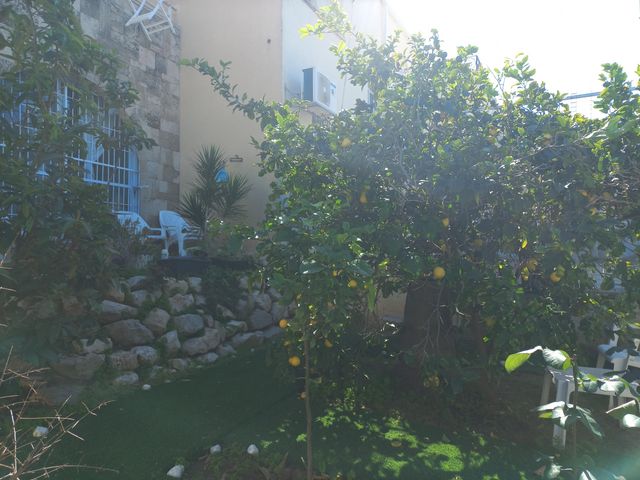 אריה בן אליעזר 26