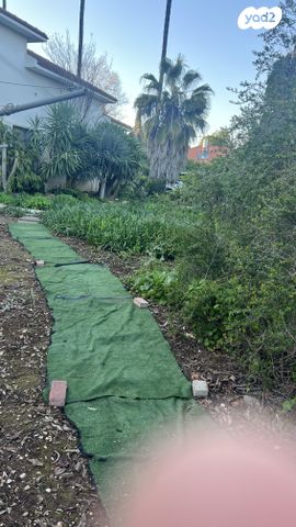 נתיב הנוטרים 1