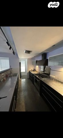 אלכסנדר ינאי 4