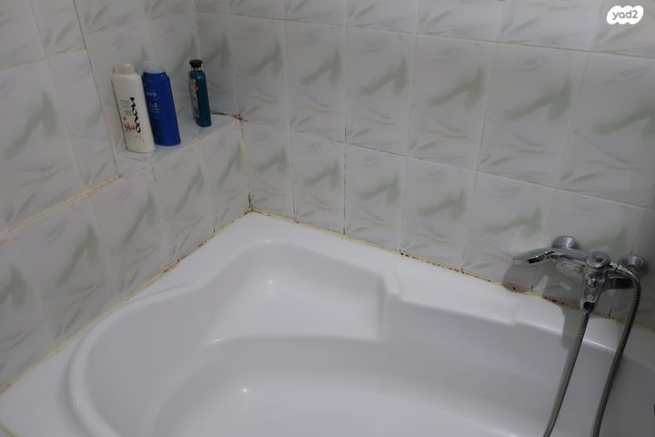 שלמה בן יוסף 2