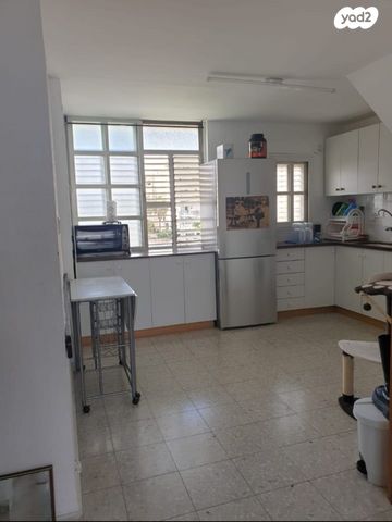 יוסף שפרינצק 4