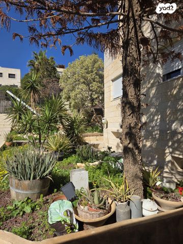 מורד נחל פרת 137