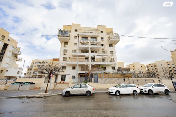 אלישע הנביא 