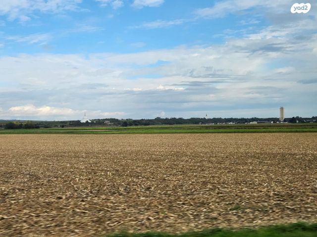 גלעדי אהרון 