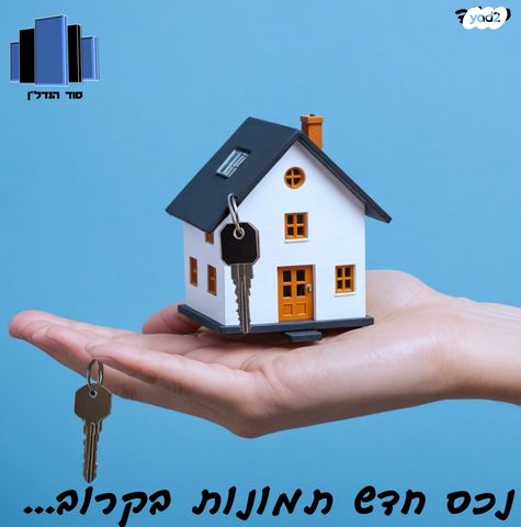 דירה