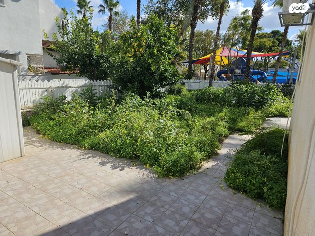 חביבה רייק 1