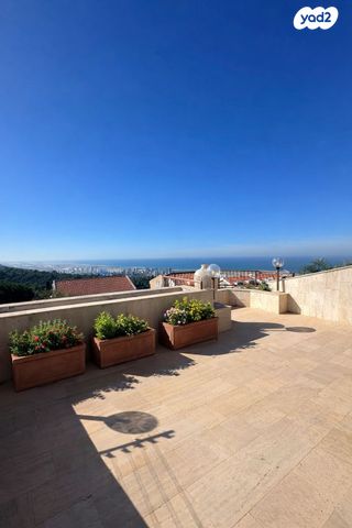 אלברט שווייצר 