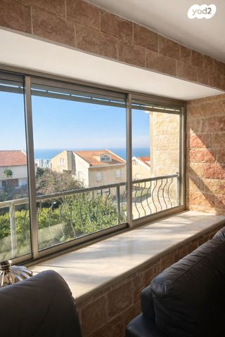 אלברט שווייצר 