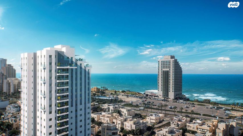 אמנון ליפקין שחק 