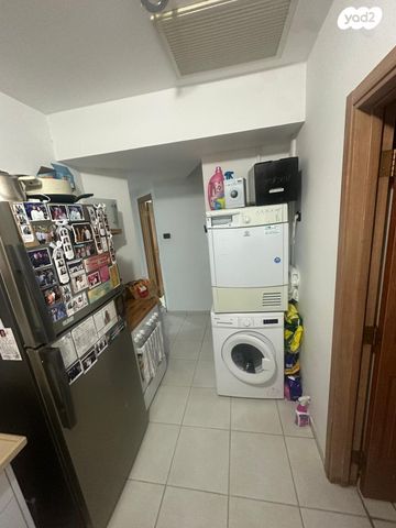 אלכסנדר זייד 